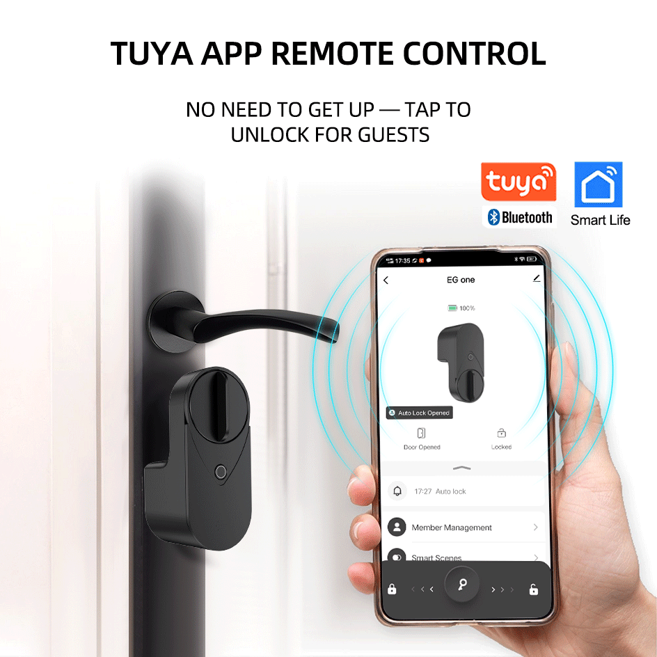 RAYKUBE EG One Tuya BLE Smart  - Home Security Keypad avaliação e preço